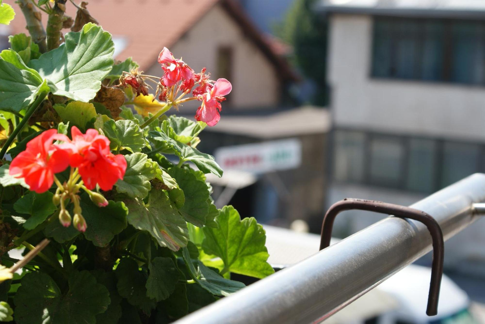 Hotel Ada - Otoka サラエヴォ 部屋 写真